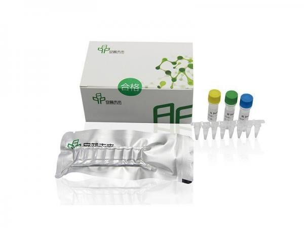 Stable PCR Isothermal Amplification Kit For Genetic Engineering