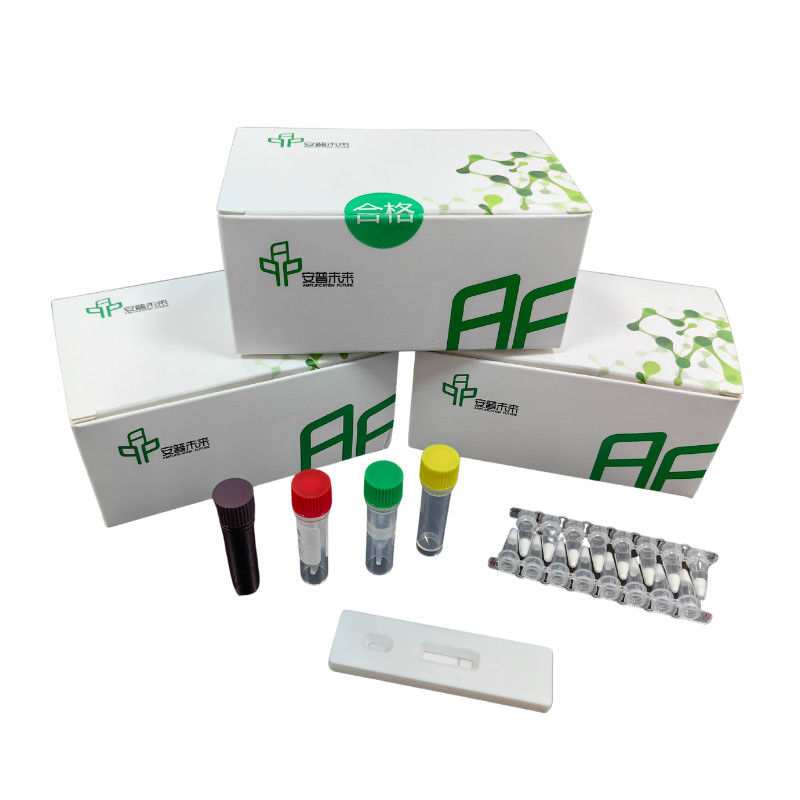 DNA Isothermal Amplification Kit NFO With 500-1000 Copies/UL Detection Limit 48 Tests / Box
