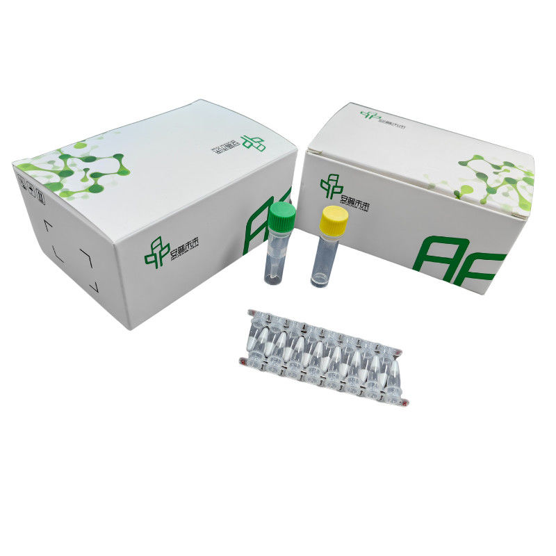 DNA Isothermal Amplification Kit NFO For Room Temperature Amplification