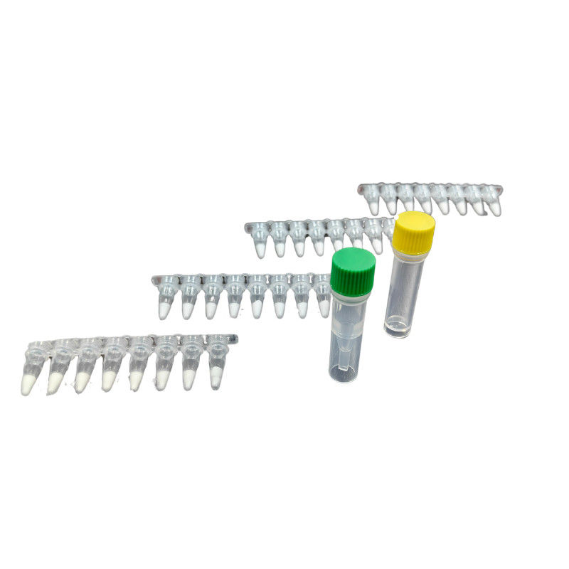 Stable PCR Isothermal Amplification Kit For Genetic Engineering