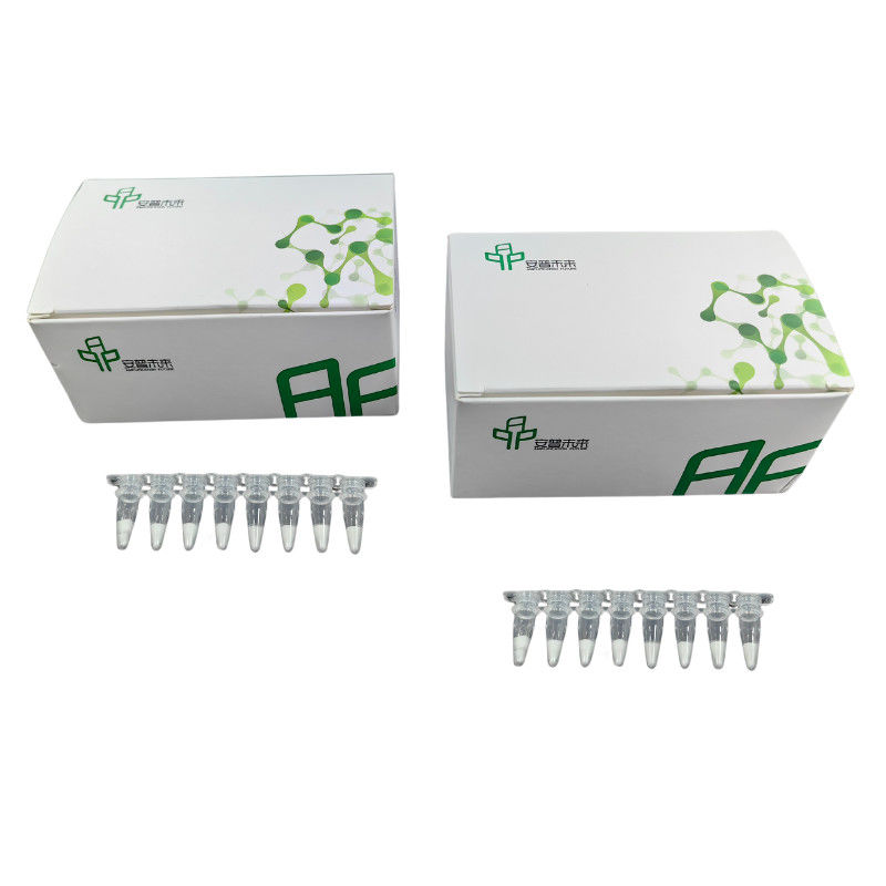 Lyophilized RNA Amplification Kit Below 20 Degree Format Easy And Efficient