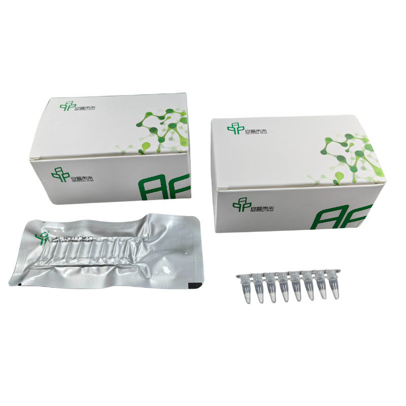 Rapid Isothermal Nucleic Acid Amplification Kit For Lab Use
