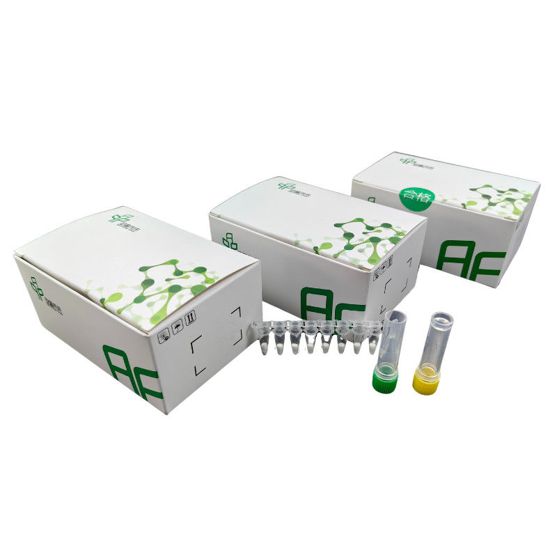 Basic Nucleic Acid DNA Amplification Kit 48 Reactions 20mins