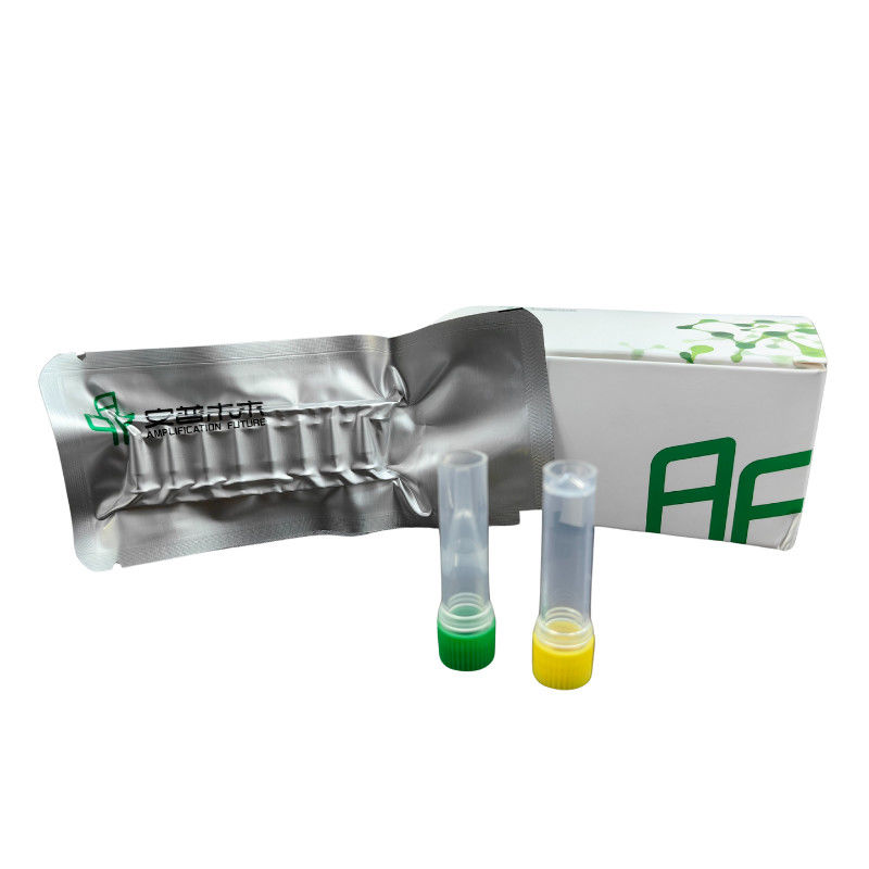48 Reactions DNA Amplification Kit With 14 Months Shelf Life