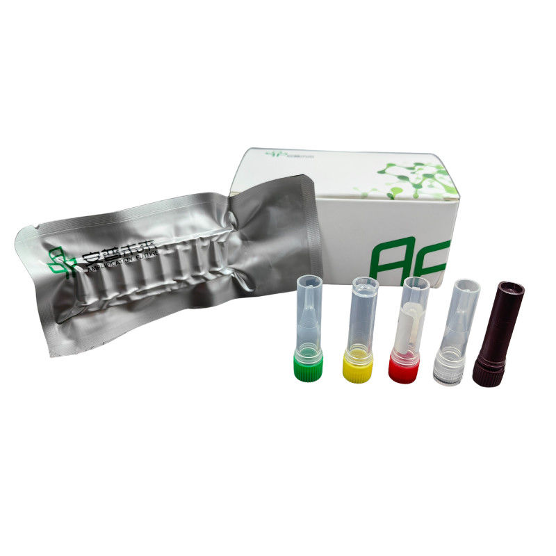 48 Tests/Box Buffers SARS-CoV-2 Detection Kit For Accurate Results