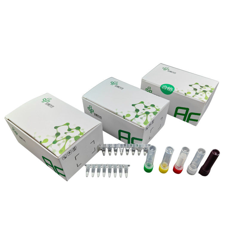 ORF1ab Gene SARS-CoV-2 Detection Kit 48 Tests/Kit 5-20mins