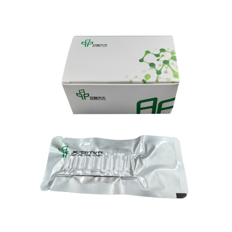 High Efficiency RNA Isothermal PCR Kit Stable Easy Operate