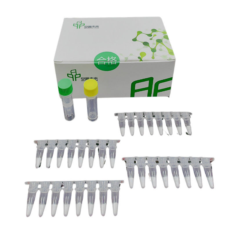 Conveniently Test RNA Isothermal PCR Kit At Home Reagent Buffer