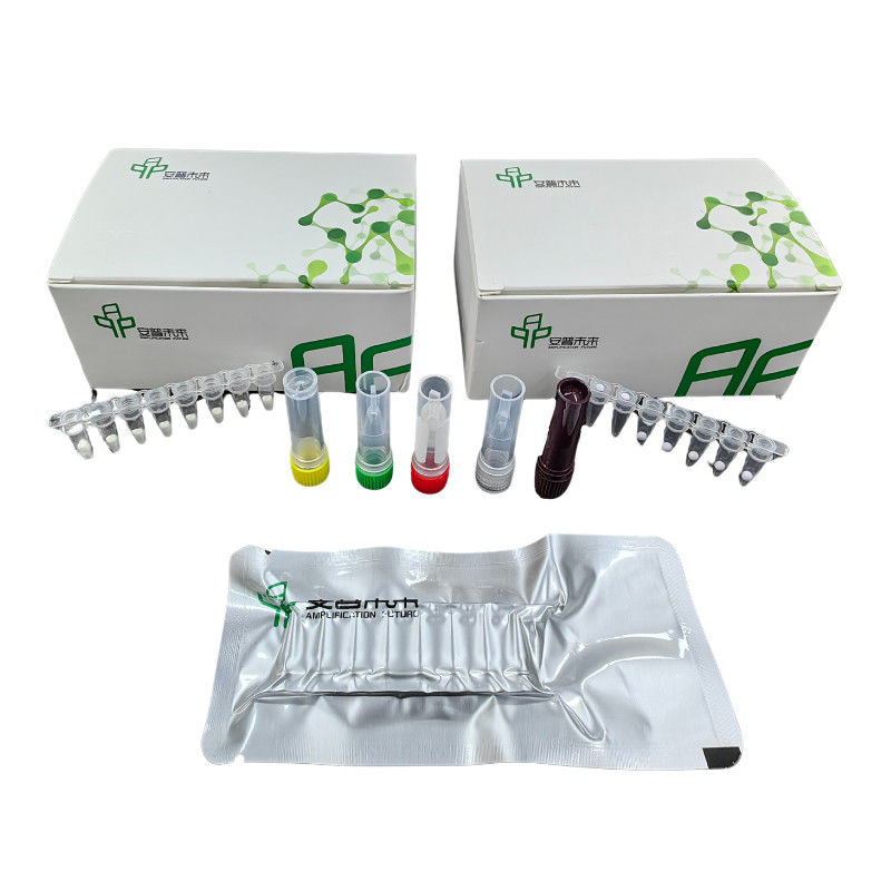 High Sensitivity Specificity DNA Isothermal PCR Kit NFO 48 Tests / Kit