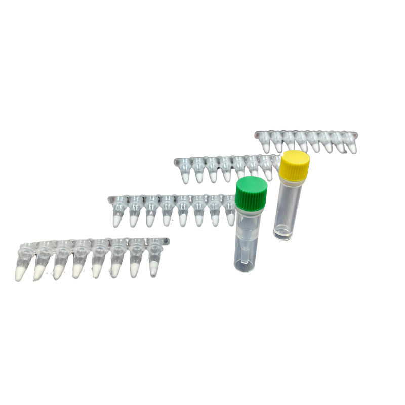Amp Future Isothermal Amplification Kit RNA Detection Freeze Dried High Specificity