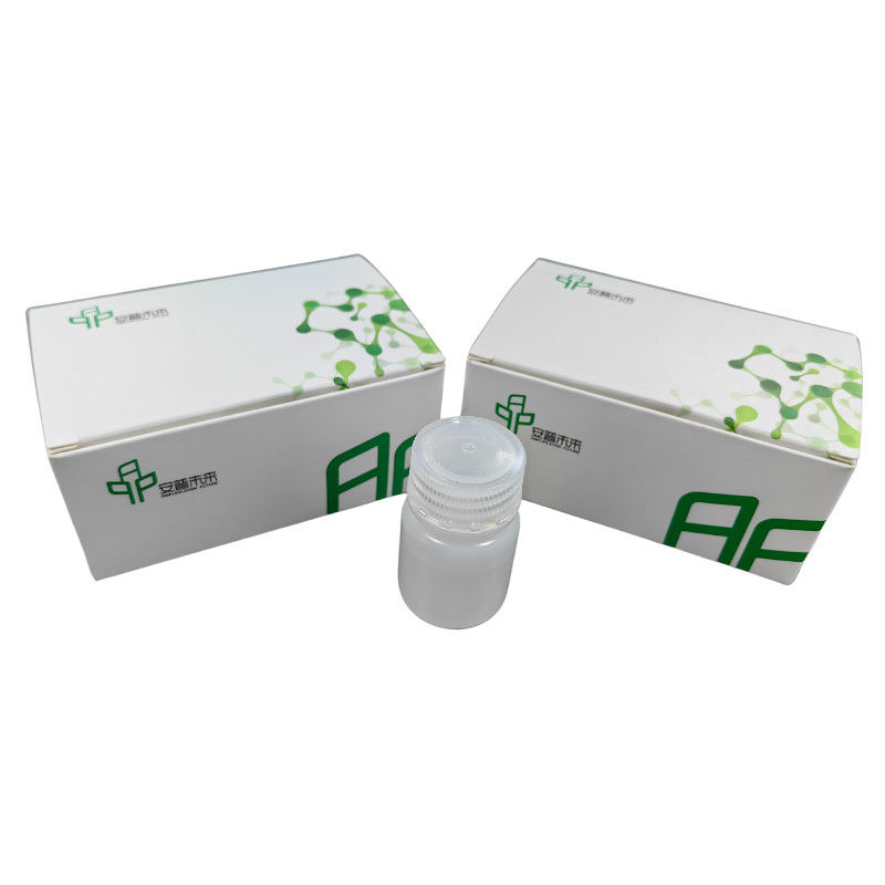 Fast RNA Extraction Nucleic Acid Reagent High Efficiency