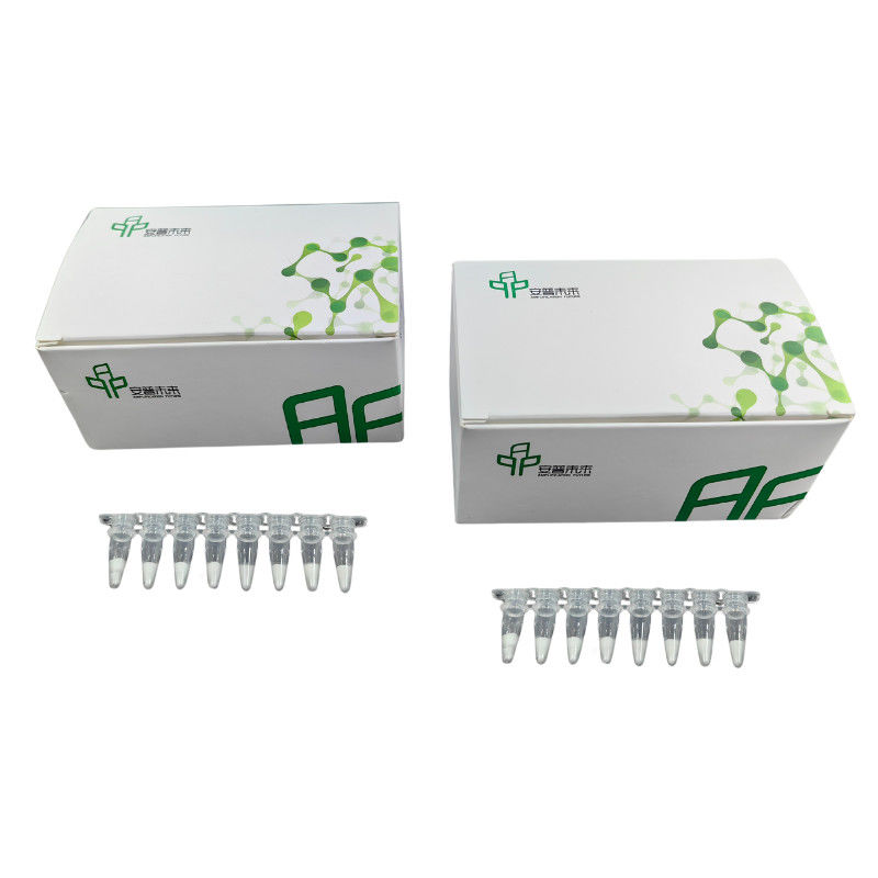 Basic RNA Amplification Kit Stable Easy Operate 14 Months Validity