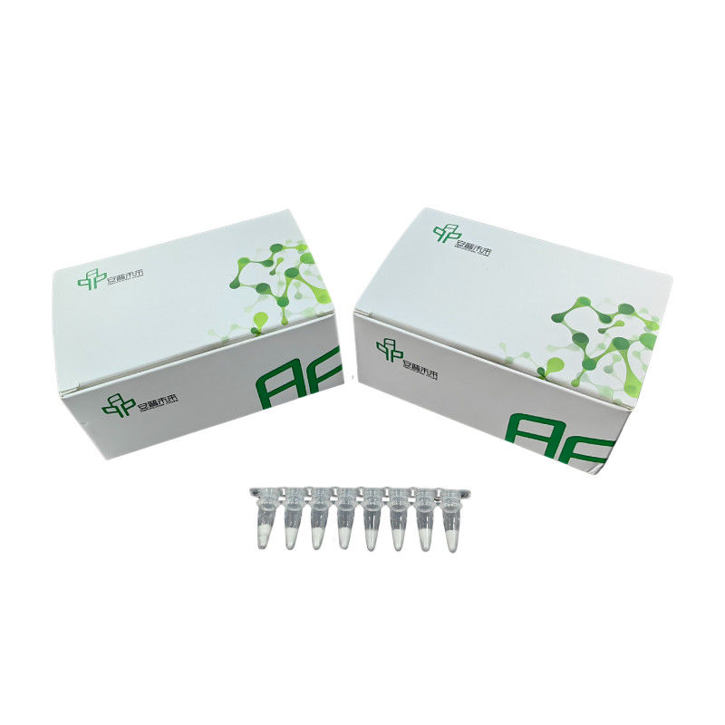 5-20mins High Sensitivity Isothermal PCR Kit NFO Short Reaction Time