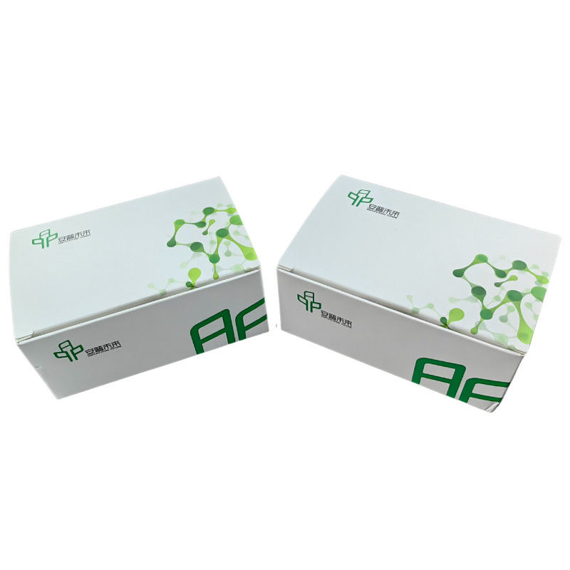 Room Temperature DNA Amplification Kit For Isothermal Nucleic Acid