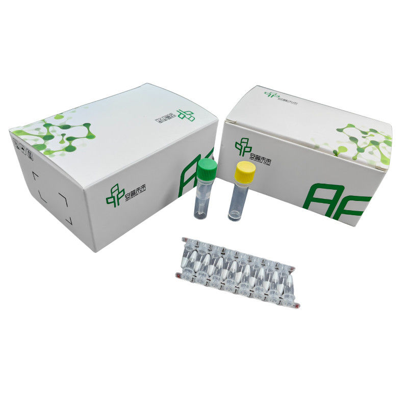 14 Months Validity DNA Isothermal Nucleic Acid Amplification Kit NFO