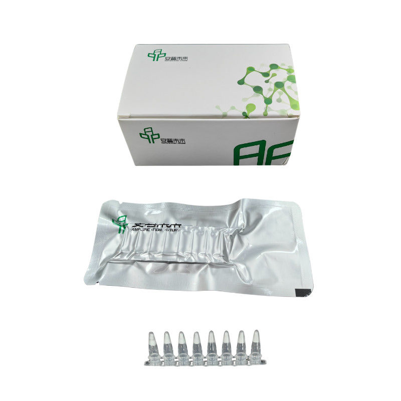 Lyophilized High Sensitivity RNA Amplification Kit Fast Accurate Results