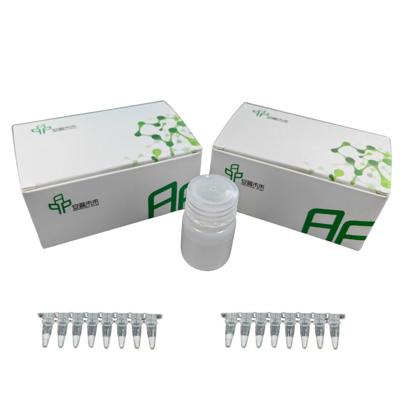 High Grade RNA Extraction Kits Quick And Reliable
