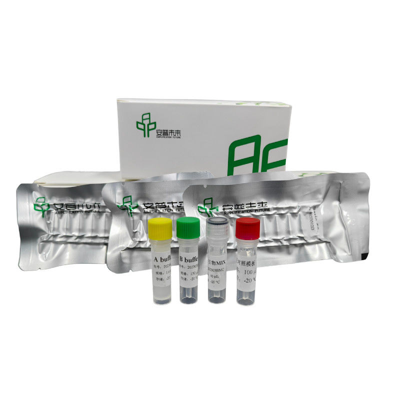 High Performance RNA Isothermal PCR Kit For Accurate Quantification