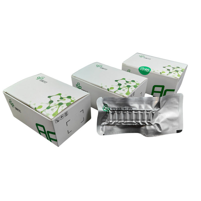 20mins DNA Isothermal Nucleic Acid Amplification Kit For High Speed PCR