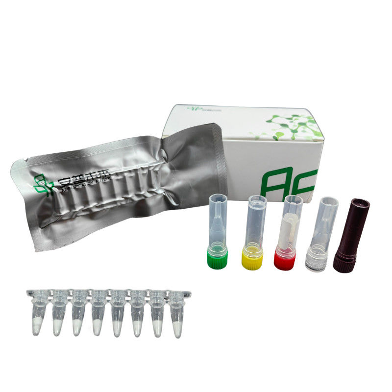 Advanced Diagnosis Treatment Nucleic Acid Detection Shrimp Hemocytoiridescence Virus Livestock Disease Kit