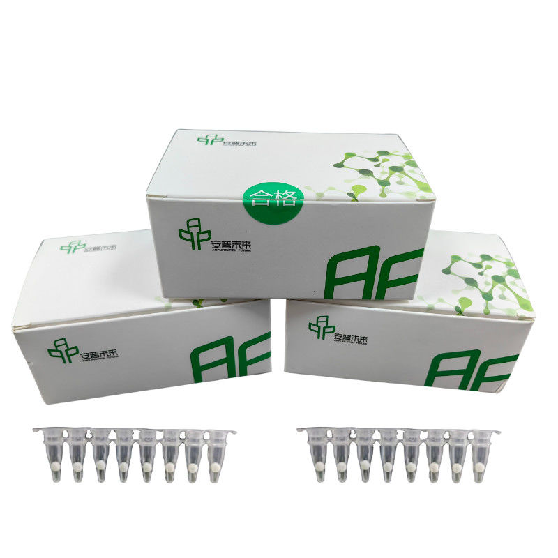 14 Months Storage Isothermal PCR Amplification Kit High Sensitivity Specificity