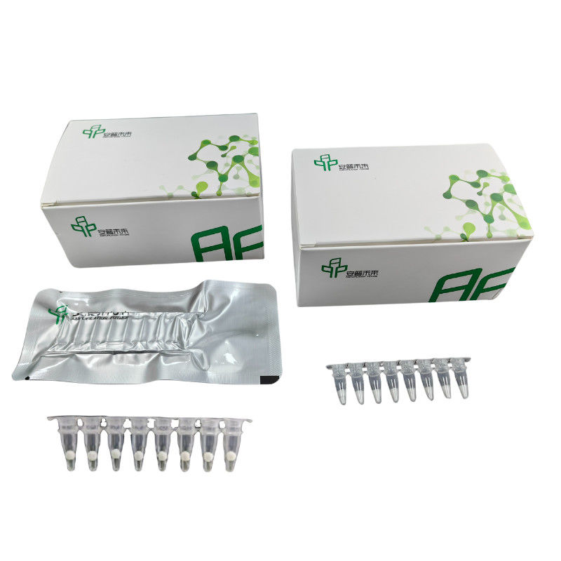 High Performance DNA Isothermal PCR Amplification Kit For Accurate PCR Results