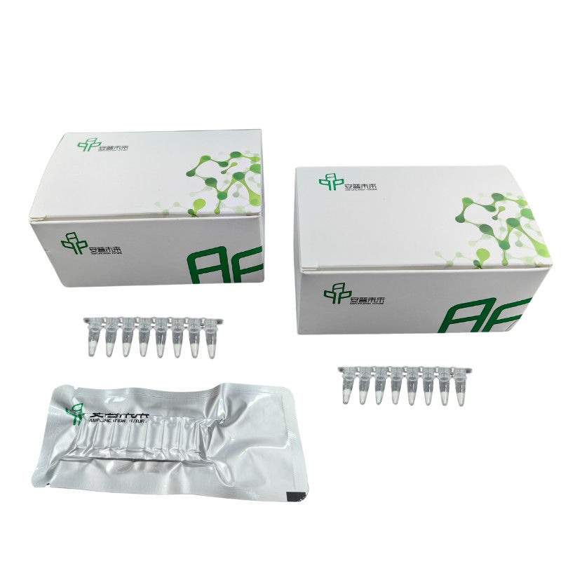 Simple And Fast RNA PCR Amplification Kit For Achieving Optimal Results
