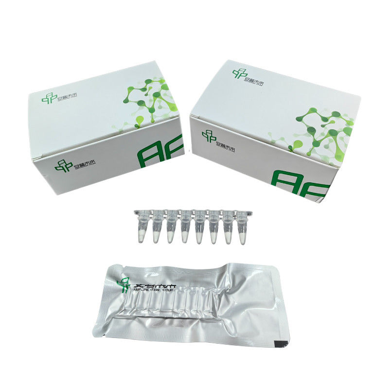 Accurate Results RNA Amplification Kit High Sensitivity