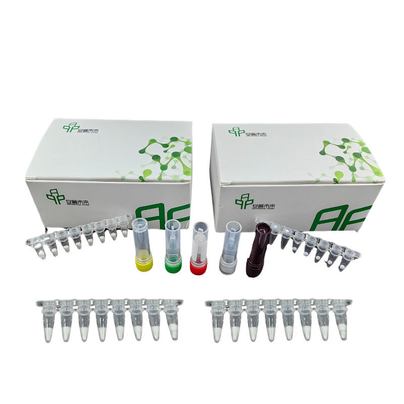 Influenza B Virus Isothermal NFO Bacteria Detection Kit With 5-20mins