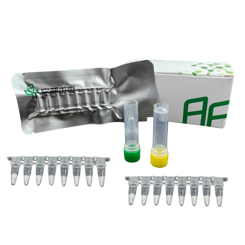 500-1000 Copies/UL Isothermal Nucleic Acid Amplification Kit NFO 5-20mins Test 14 Months Storage