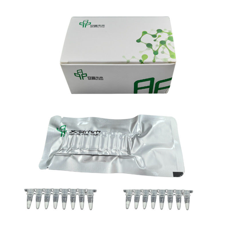 Multiplex DNA Amplification Kit One Step Processing