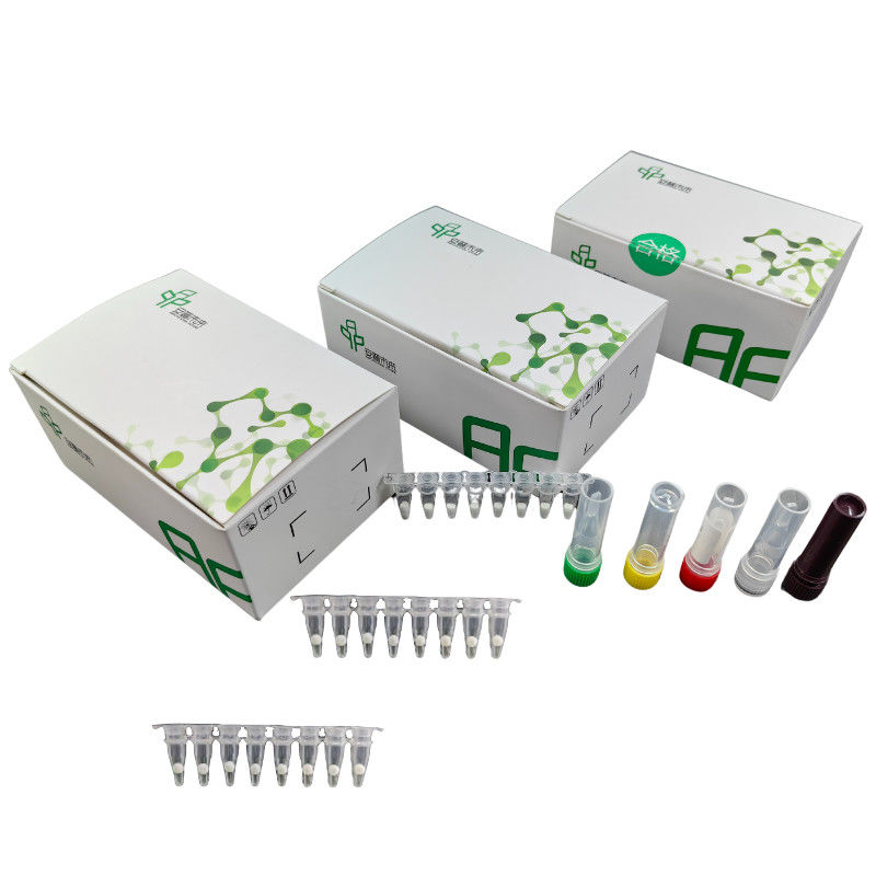 5-20 Minutes Livestock Disease Kit With African Swine Fever Virus Test Kit For Nucleic Acid Detection