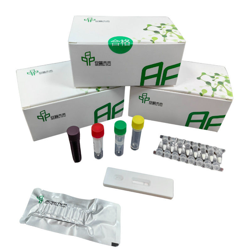 0157:H7 Hemorrhagic E.Coli Detection Kit EXO With Isothermal Fluorescence Detector