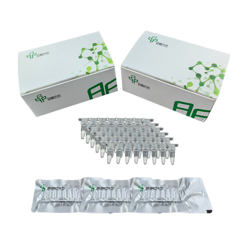 Easy Operate Stable Isothermal Amplification Kit No Expensive PCR Apparatus