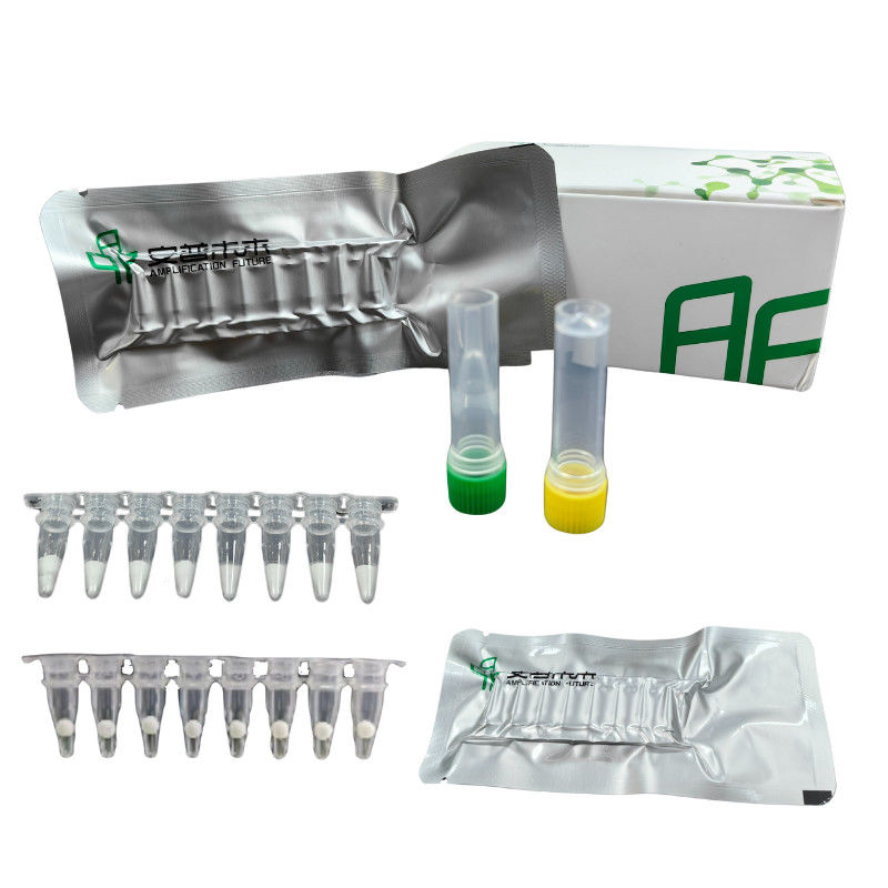 High Sensitivity DNA Isothermal Amplification Kit NFO 48 Tests / Box