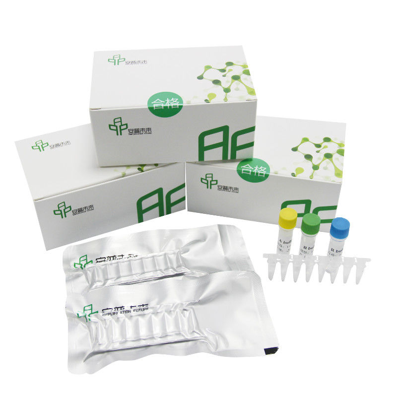 Reliable RNA Basic Isothermal Amplification Kit For Accurate Result