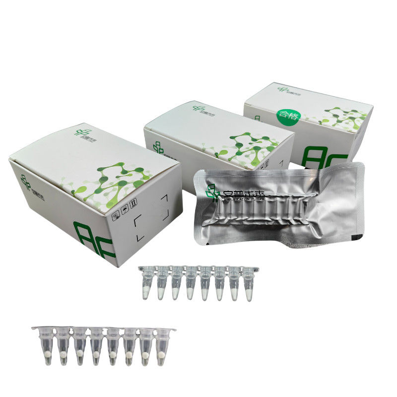 Rapid RNA Nucleic Acid EXO Isothermal Amplification Kit For Lab Use