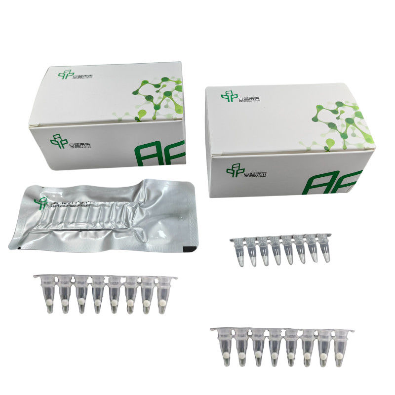RNA Basic Isothermal PCR Kit With High Accuracy And Efficiency