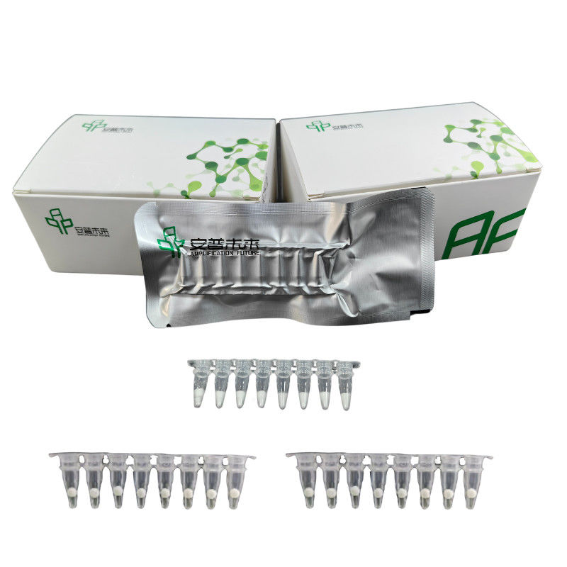 Stable Easy Operate DNA Nucleic Acid Amplification NFO Kit
