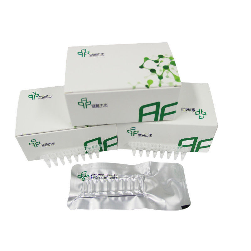 Effective EXO DNA Amplification Kit For Reliable Results