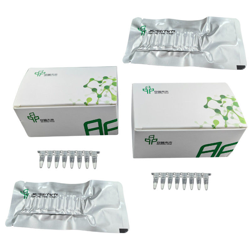 Fast Accurate Isothermal Amplification PCR Kit Freeze Dried DNA NFO Reagent