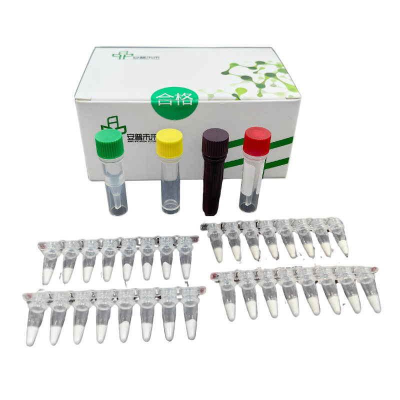 High Sensitivity Listeria Monocytogenes Test Kit With D-Loop Region And Real Time Monitoring