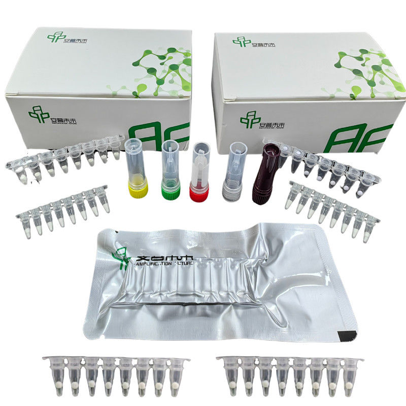 EXO H Pylori Detection Kit With Isothermal Fluorescence Detector