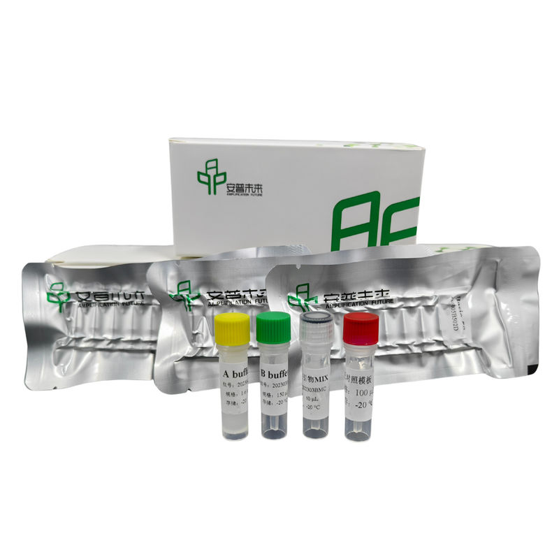 High Sensitivity DNA Rapid Isothermal Amplification Kit Basic